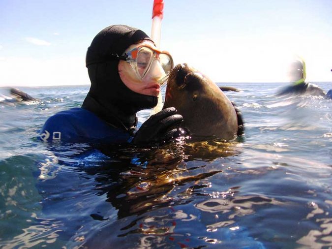 snorkeling-con-lobos-(5)