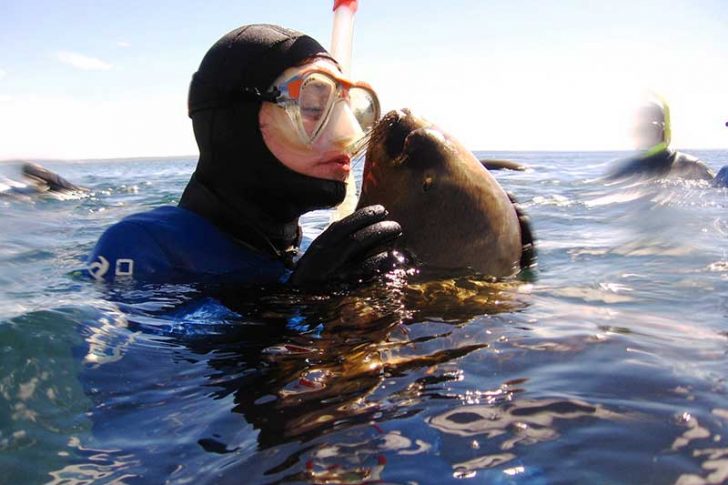 snorkeling-con-lobos-(5)