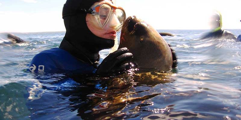 snorkeling-con-lobos-(5)