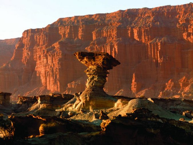 Hongo en Ischigualasto – Valle Fértil (2)