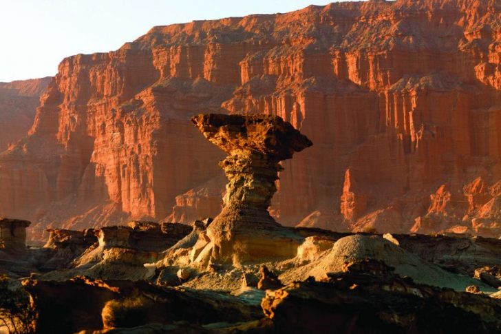Hongo en Ischigualasto – Valle Fértil (2)