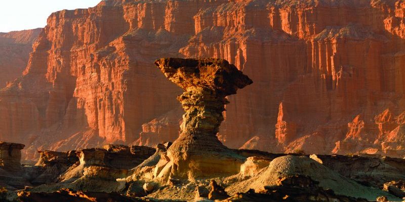 Hongo en Ischigualasto – Valle Fértil (2)