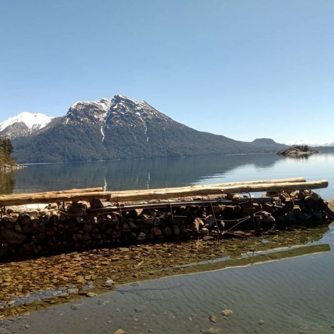muelle tacul